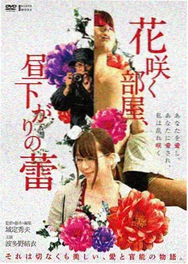 长城风云 人文历史飞行影院